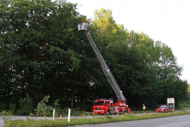 Stigevognen måtte tages i brug før man kunne nå den knækkede gren, der var i fare for at falde ned på kørebanen. Foto: Skadestedsfotograf.dk - Johnny D. Pedersen.