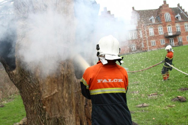 Brandvæsnet måtte onsdag formiddag slukke en brand i dette træ. Foto: Skadestedsfotograf.dk - Johnny D. Pedersen.