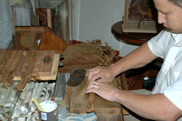 Man kan opleve gamle håndværk i Andelslandsbyen Nyvang i denne weekend. Her er det cigarmageren, som er i gang med at rulle en cigar. PRfoto.