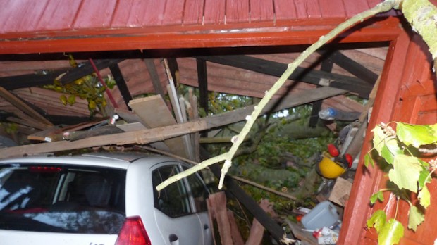 Mandagens storm væltede et træ nedover garage og bil. Foto: Jesper von Staffeldt.