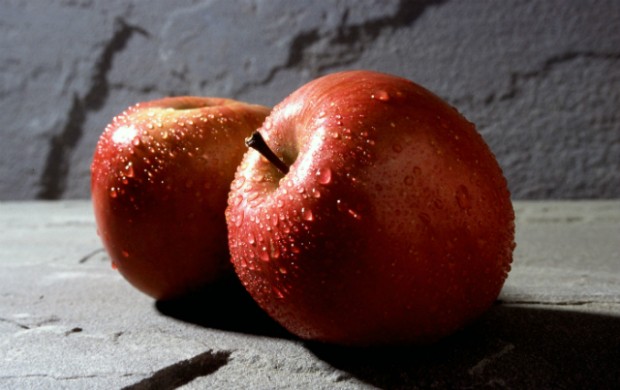 Kultur og Fritidsudvalget afviste at give økonomisk støtte til en æble festival på Tuse Næs. Foto: Scott Bauer USDA ARS