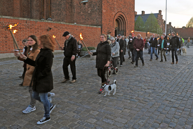 Der var fakkeloptog fra Sct. Nicolai Kirke til rådhuset i anledning af Danmarks befrielse. Foto: Ejlif Rude Jensen.