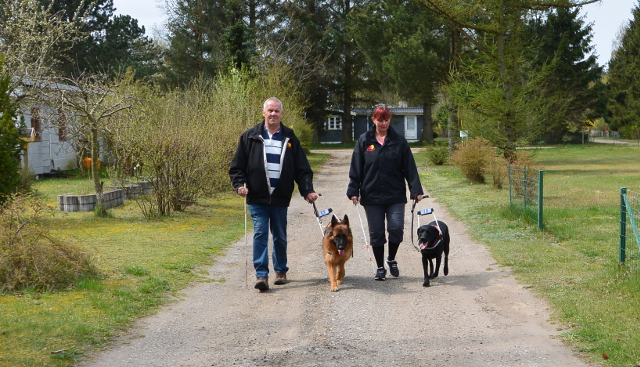 Tanja Falster Nørager med førerhunden QUEN og Hans Jørn Vedby Jørgensen med førerhunden XARA. Begge hunde er 22 måneder de vil formentlig blive godkendt som førerhunde til Dansk Blindesamfund i juni måned i år.