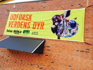 Reklamebanner for de populære samlemærker på Føtex i Holbæk. Foto: Rolf Larsen.