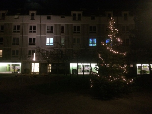 Juletræ i Ladegårdsparken. Foto: Rolf Larsen