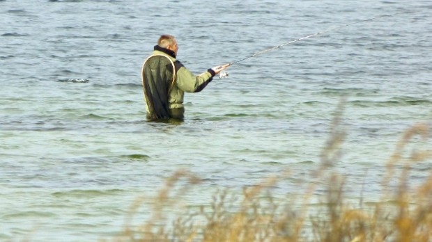 I den sidste weekend i marts  kan man deltage i fiskekonkurrencen Isefjorden Havørred Open. Arkivfoto: Jesper von Staffeldt.