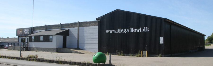 Mega Bowl, Moske, Kulturcenter