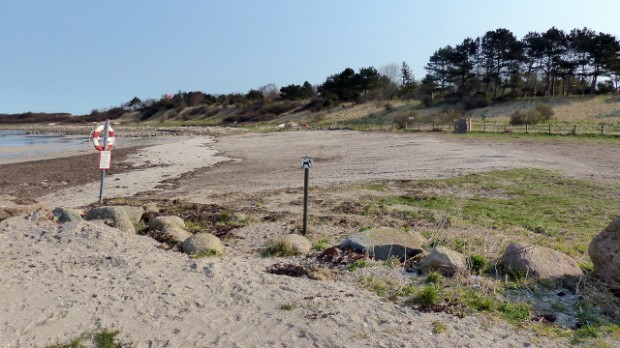 Den rene strand   : Et billede lige til "Visit Orø". Foto: Jesper von Staffeldt.