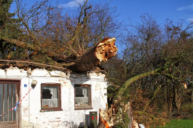 Et stort træ lagde sig ned over dette hus under stormen den 28. oktober 2013. Så voldsomt forventes blæsevejret dog ikke at blive lørdag. Foto: Skadestedsfotograf.dk - Johnny D. Pedersen.