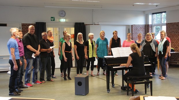 Koret Visible Voices gav onsdag aften koncert på Kulturkasernen i Holbæk. Foto: Rolf Larsen.